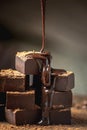 Heap of delicious cubes of bitter dark chocolate sprinkled with cocoa powder and poured with liquid chocolate