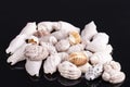 Heap of different kind of small sea shells isolated on black background Royalty Free Stock Photo