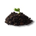 Heap dirt with a green plant sprout isolated on white background