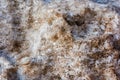 Heap of dirty snow close Royalty Free Stock Photo