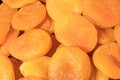 Heap dried apricots close up as background.