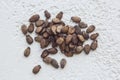 A heap of dried black watermelon seeds close-up on a white table background. planting season. close up top view copy space Royalty Free Stock Photo