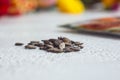 A heap of dried black watermelon seeds close-up on a white table background. planting season. close up top view copy space Royalty Free Stock Photo