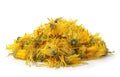 Heap of dried calendula flowers Royalty Free Stock Photo