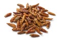 Heap of dried chili peppers Royalty Free Stock Photo