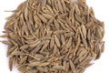 Heap of dried cumin seeds