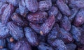 Heap of dried dates close-up.