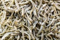 Heap of dried and salted anchovy fish Royalty Free Stock Photo