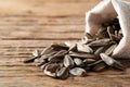 Heap of Dried sunflower seeds in the sack on wood plate Royalty Free Stock Photo