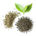 Heap of dried tea and fresh green tea leaves isolated on white background Royalty Free Stock Photo