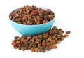 Heap of dry pet food in blue plastic bowl Royalty Free Stock Photo