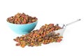 Heap of dry pet food in metal scoop and plastic bowl