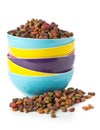 Heap of dry pet food in plastic bowl Royalty Free Stock Photo