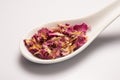 Heap of dry rose leaves in white ceramic spoon Royalty Free Stock Photo