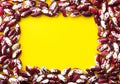 Heap of dry uncooked red and white speckled beans arranged in frame on bright yellow background. Creative food poster