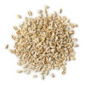 Heap of ebly seeds Royalty Free Stock Photo
