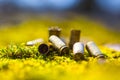 Empty gun shells lie in grass Royalty Free Stock Photo