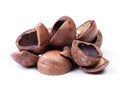 Heap of empty macadamia nut shell Royalty Free Stock Photo