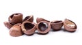 Heap of empty macadamia nut shell Royalty Free Stock Photo