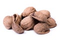 Heap of empty walnuts shell Royalty Free Stock Photo