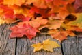 Heap of falll maple foliage on wooden table Royalty Free Stock Photo