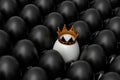 Heap of farm black chicken eggs and unique white egg in gold royal king crown