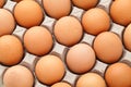 Heap of farm egg