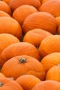 Heap of farm pumpkins