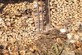 Heap firewood stack, natural wood for winter. Many wood fuel for winter. No smoking with wood