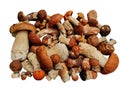 Heap of forest boletus mushrooms isolated on the white background