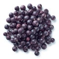 Heap of freeze dried blackcurrants Royalty Free Stock Photo