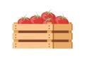 Heap fresh appetizing organic tomatoes in wooden box isometric icon vector illustration Royalty Free Stock Photo