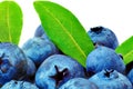 Heap fresh blueberrys