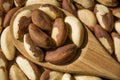 Fresh Brazil Nuts Royalty Free Stock Photo
