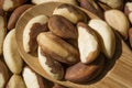 Fresh Brazil Nuts Royalty Free Stock Photo