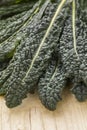 Heap of fresh cavolo nero leaves