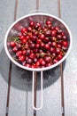 heap of fresh cherries in metal strainer Royalty Free Stock Photo