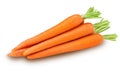 Heap of fresh clean carrots with stems Royalty Free Stock Photo