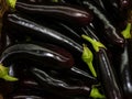 Heap of fresh eggplants close up. Fitness diet detox concept. Violet fresh eggplants harvests. A backdrop of Purple fresh eggplant