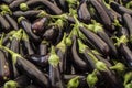 Heap of fresh eggplants, Close up round fresh organic raw purple eggplant in farmer market
