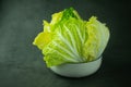 Heap fresh of green chopped iceberg lettuce in bowl Royalty Free Stock Photo