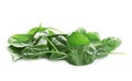 Heap of fresh green healthy baby spinach leaves on white