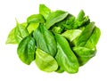 Heap of fresh leaves of Spinach leafy vegetable Royalty Free Stock Photo