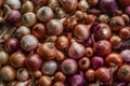 Heap of fresh organic onions, farm produce background
