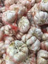 Heap of fresh organic white onions at market Royalty Free Stock Photo