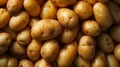 A Heap of Fresh Potatoes.AI generated image Royalty Free Stock Photo