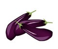 Heap of Fresh Purple Eggplant on White Background Royalty Free Stock Photo