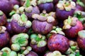 A heap of fresh purple mangosteens