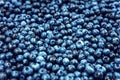 Heap of fresh raw blueberries or huckleberries, blue berries background Royalty Free Stock Photo