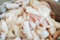 Heap of fresh raw octopus or squid or calamari